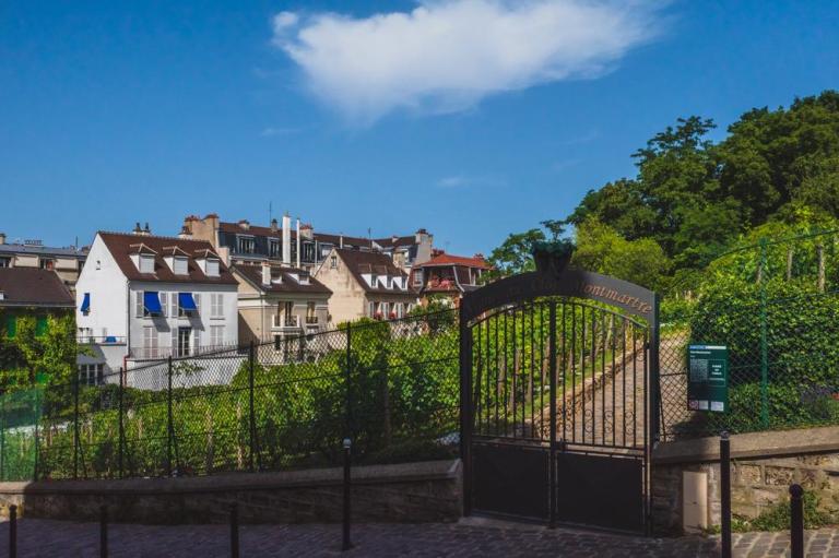 Tout savoir sur la crémation à Saint-Jean et ses étapes